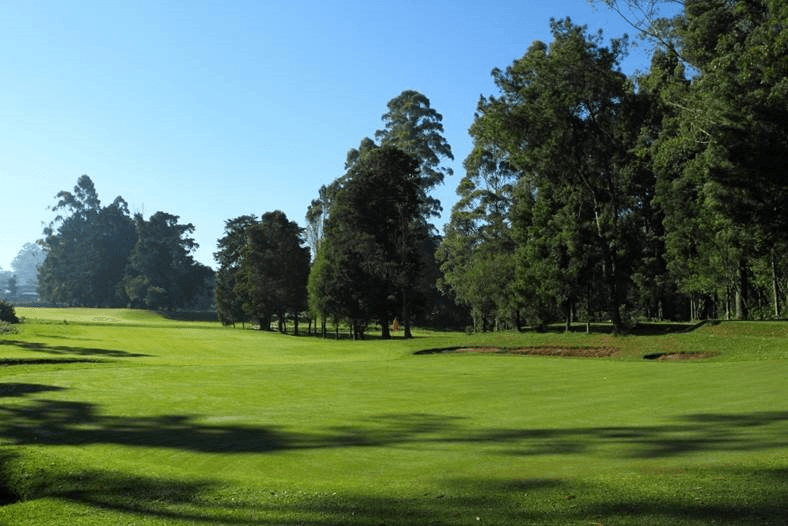 Group of golfers on course